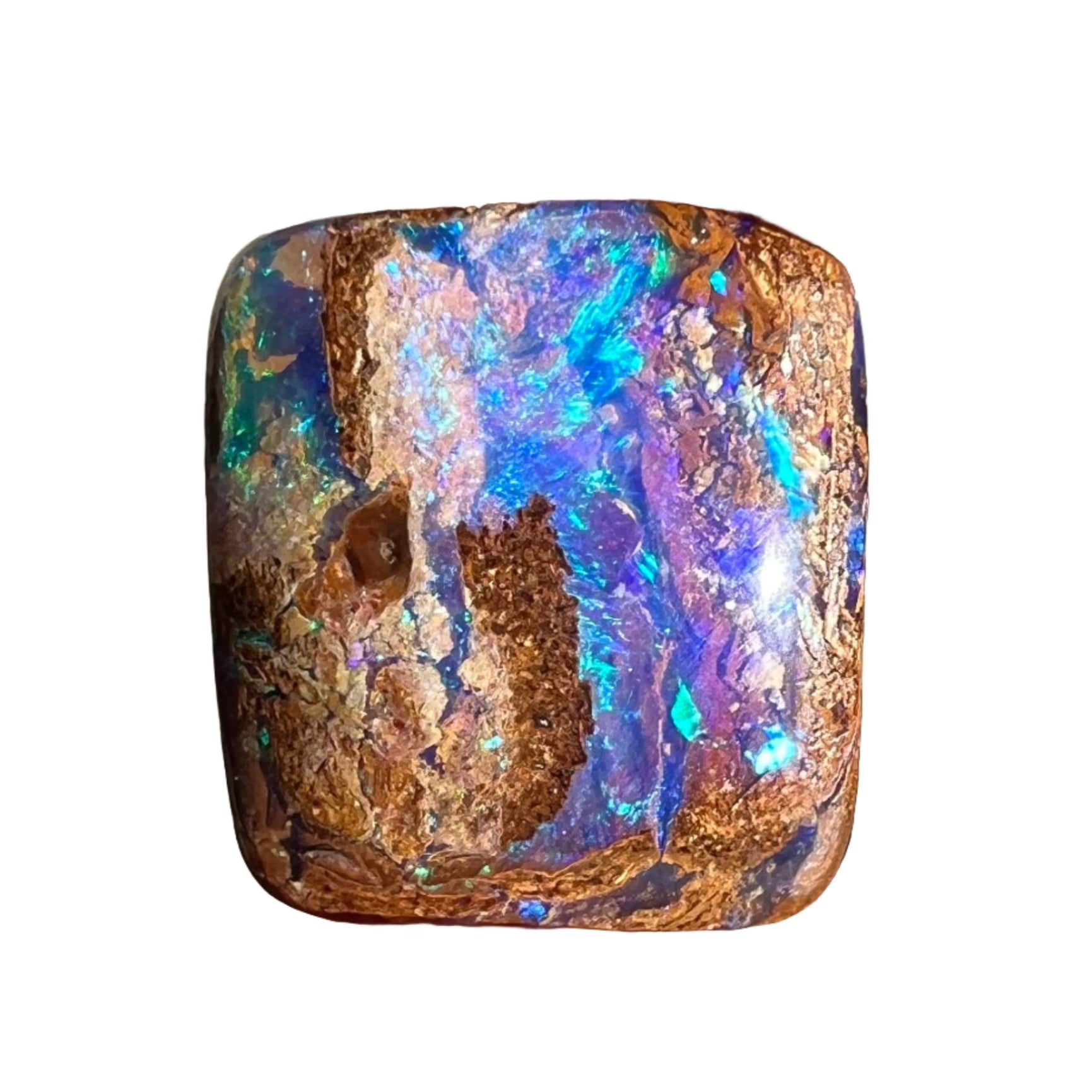 IMG_1976.heic?v=1715428175