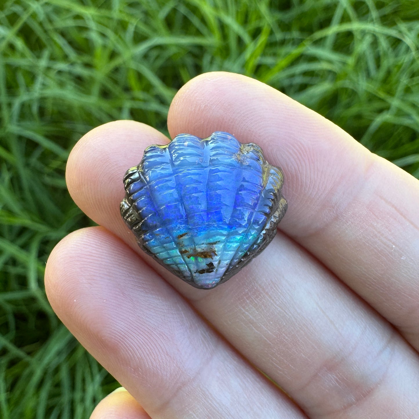 15.65 Ct fan shell boulder opal carving
