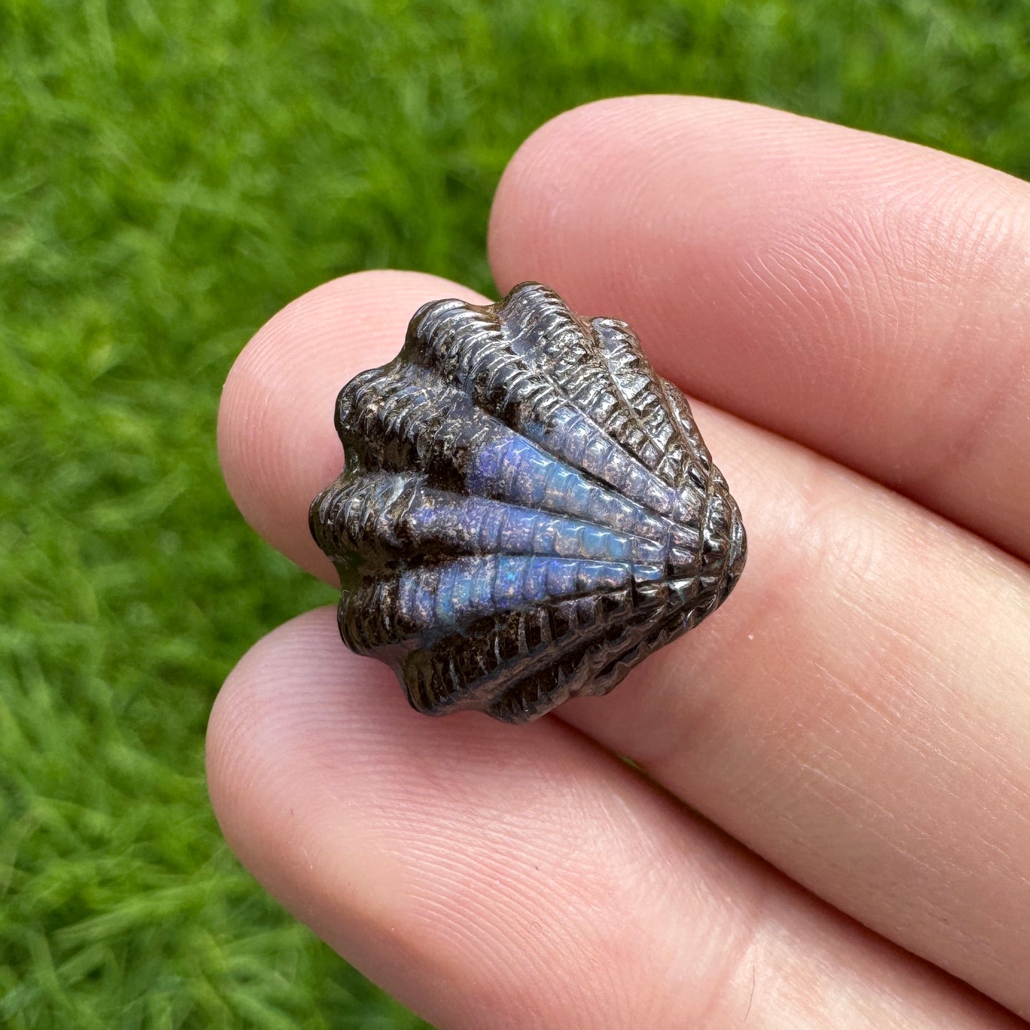10.24 Ct fan shell boulder opal carving