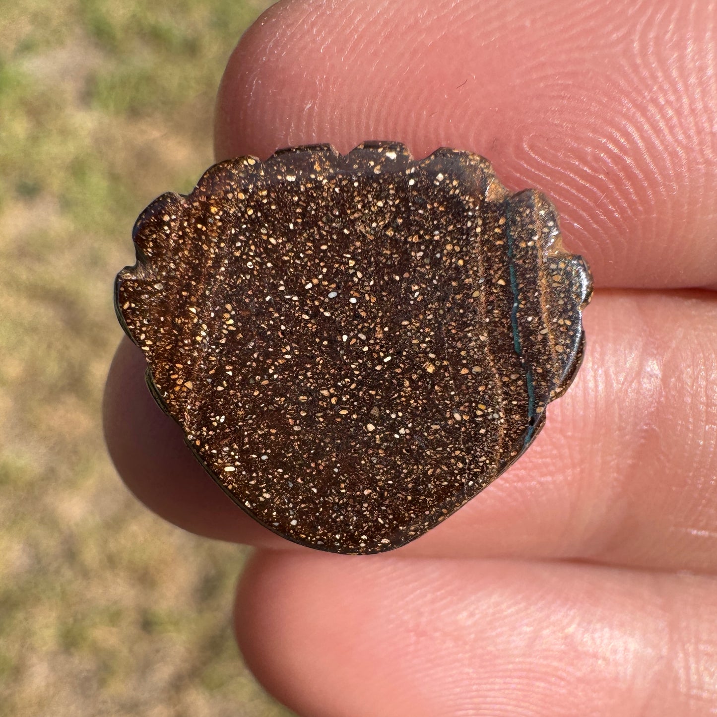 9.55 Ct shell boulder opal carving