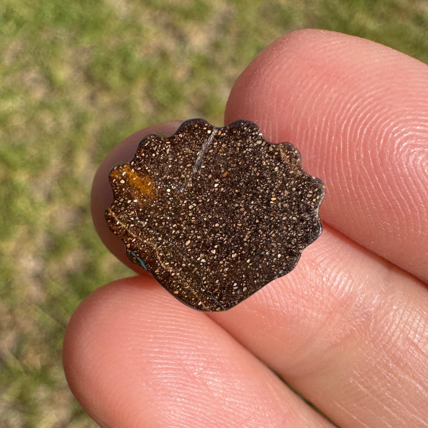 6.94 Ct shell boulder opal carving