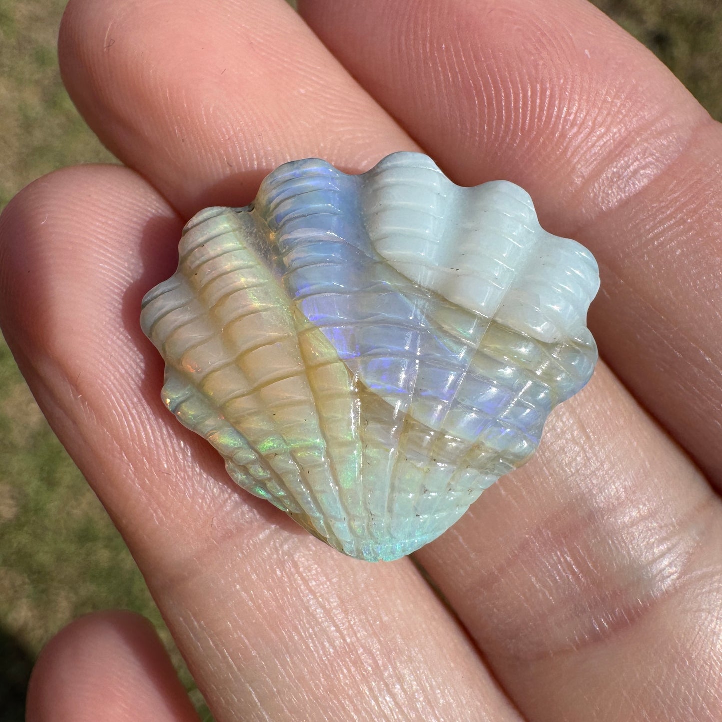 19.92 Ct shell boulder opal carving