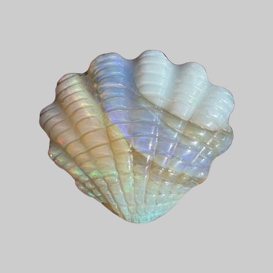 19.92 Ct shell boulder opal carving