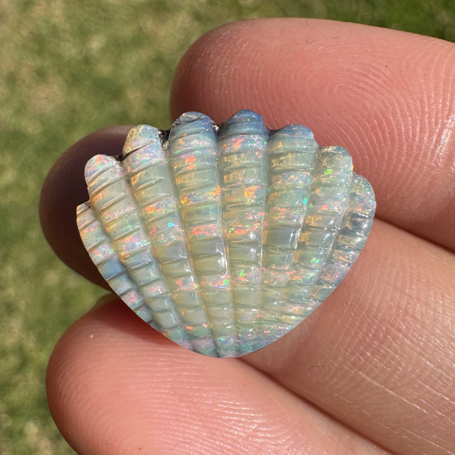 10.54 Ct shell boulder opal carving