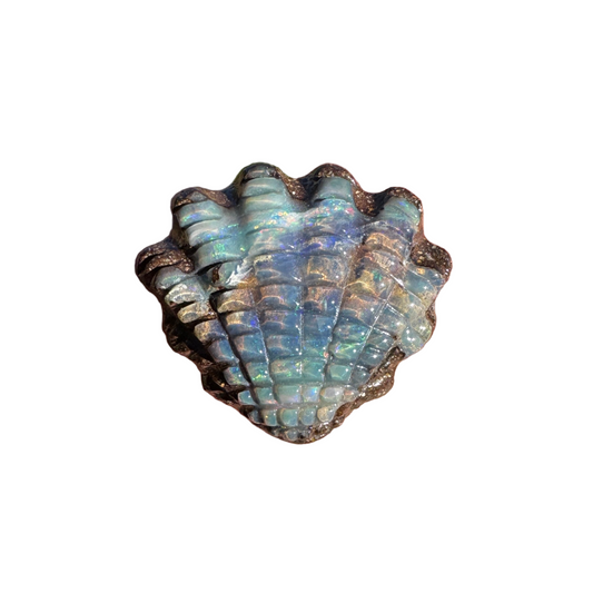 8.25 Ct small fan shell boulder opal carving