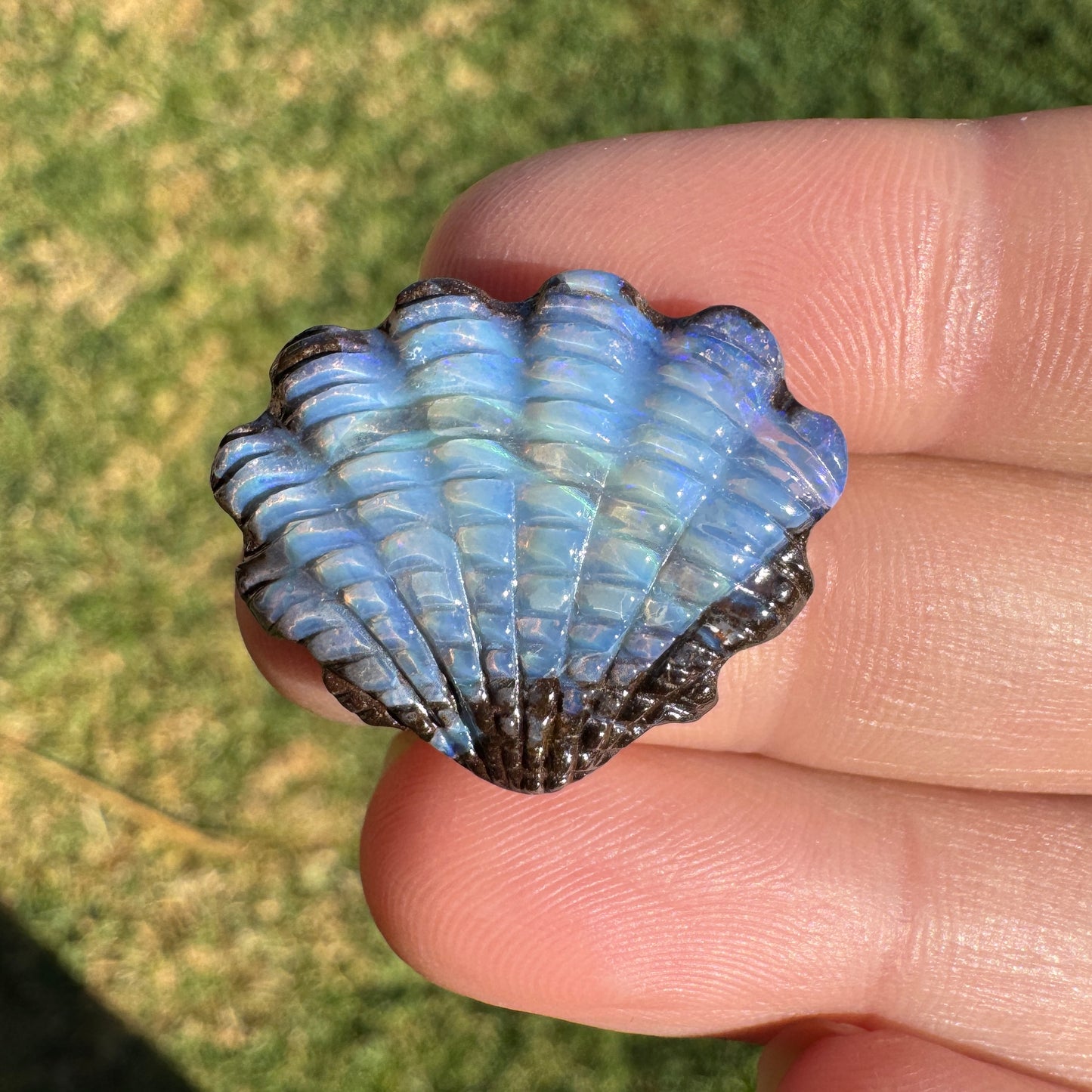 16.02 Ct fan shell opal carving