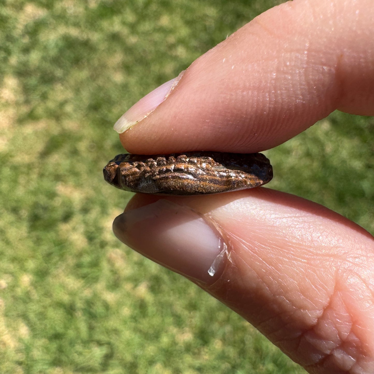 9.80 Ct fan shell boulder opal carving