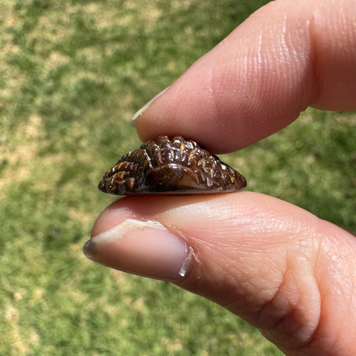 16.92 Ct fan shell boulder opal carving