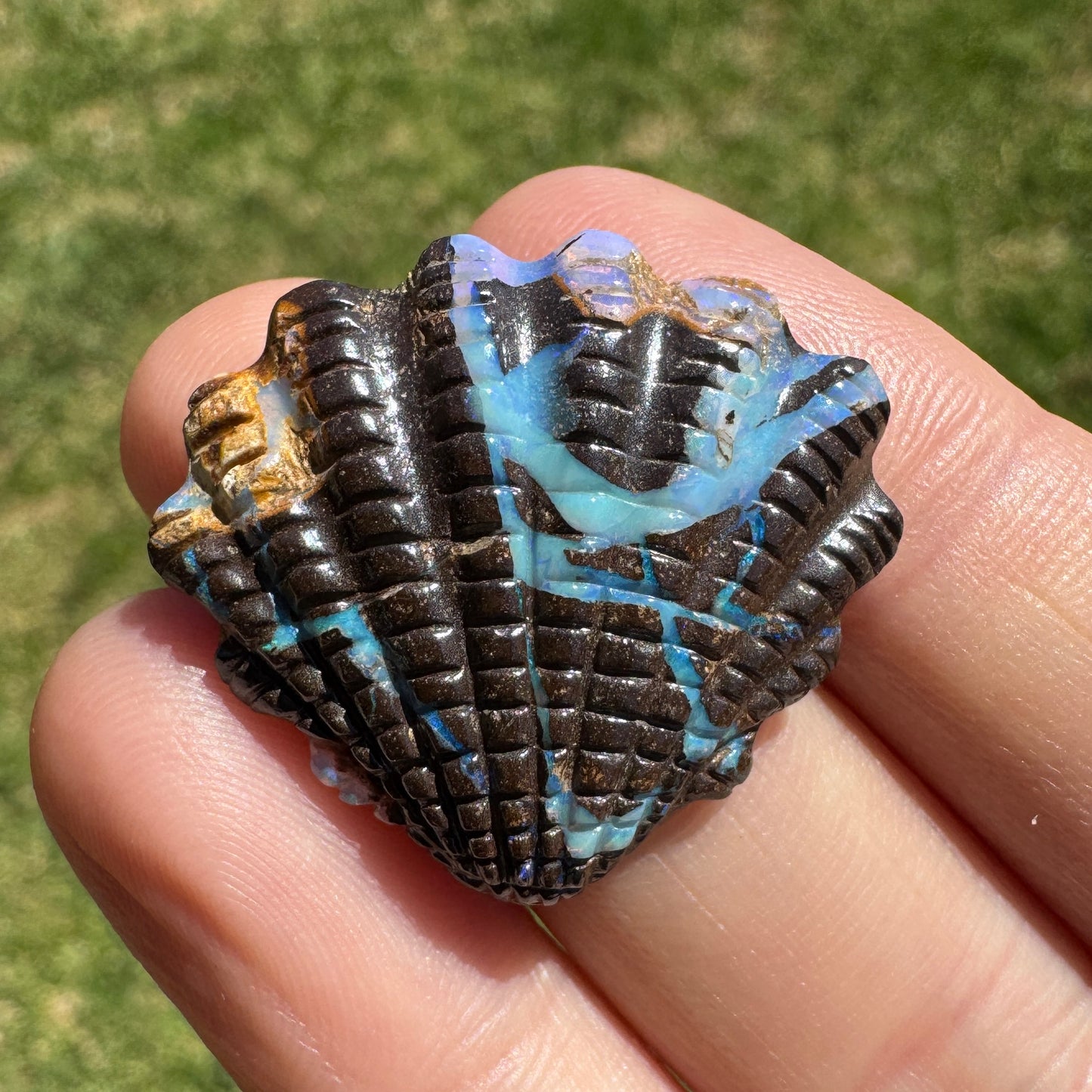 22.45 Ct fan shell boulder opal carving