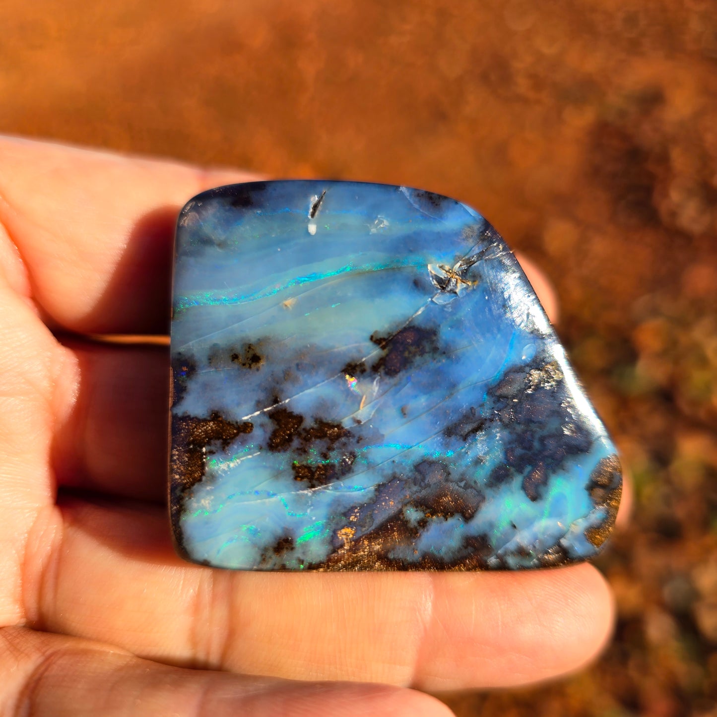 66.1 g Australian Boulder Opal Specimen