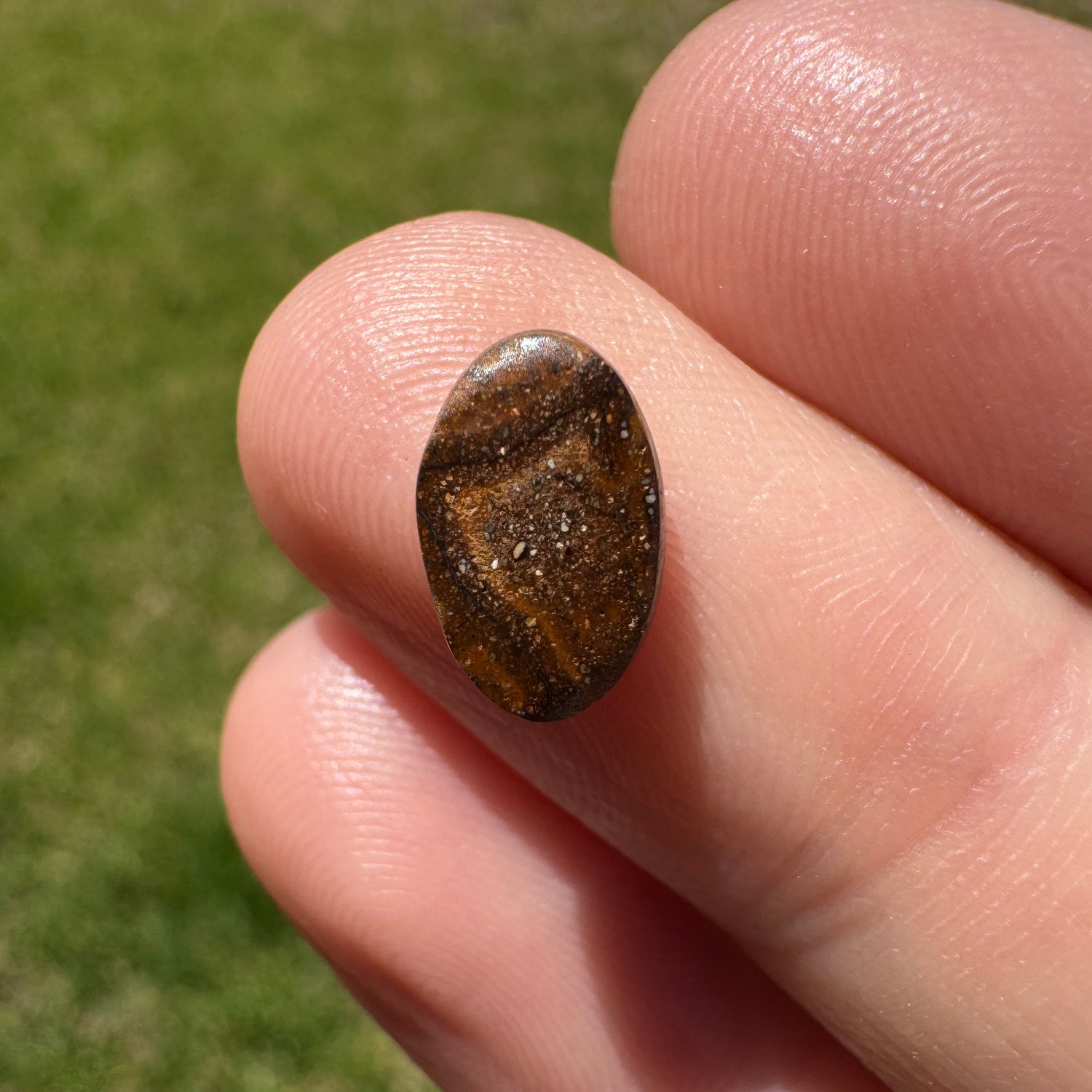 1.44 Ct small boulder opal - Broken River Mining