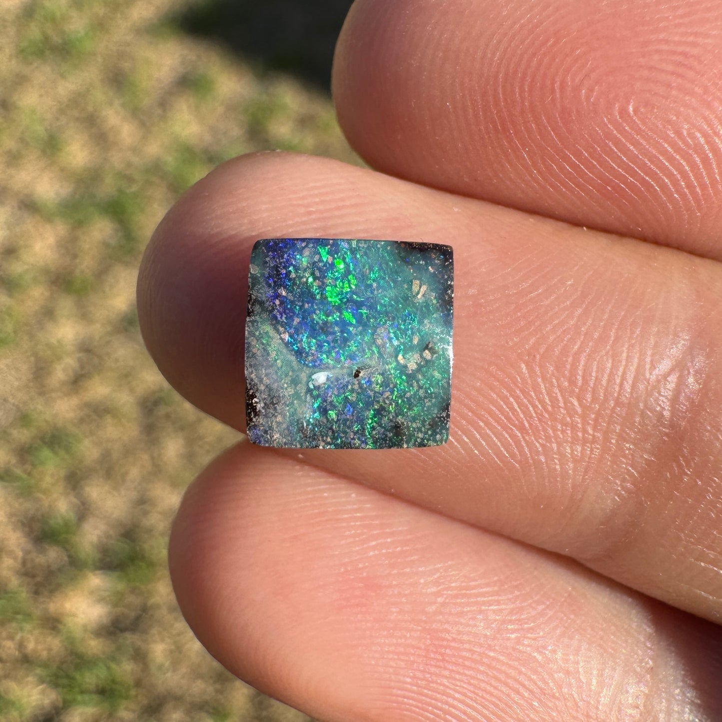 2.23 Ct small boulder opal - Broken River Mining
