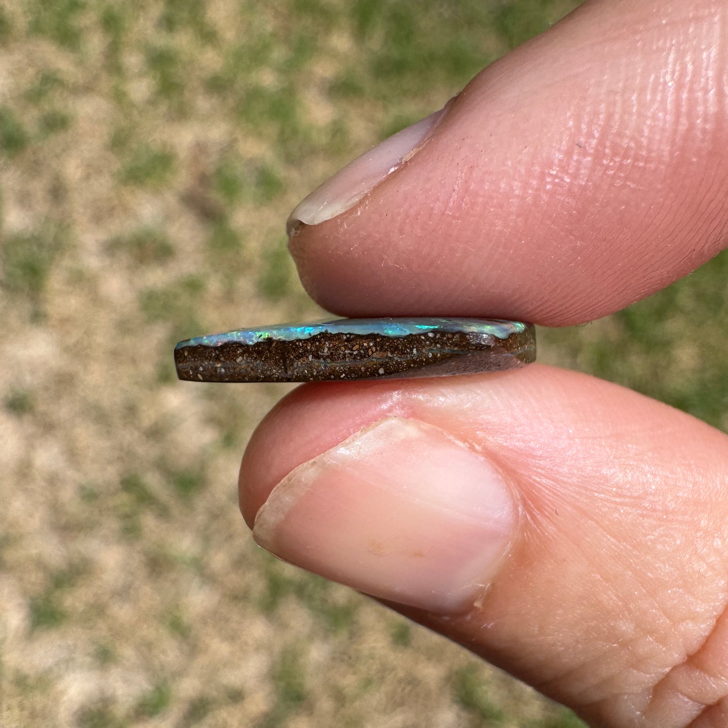 5.27 Ct kite-shaped boulder opal - Broken River Mining