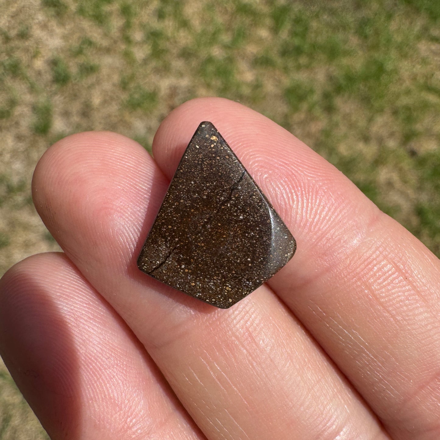 5.27 Ct kite-shaped boulder opal - Broken River Mining