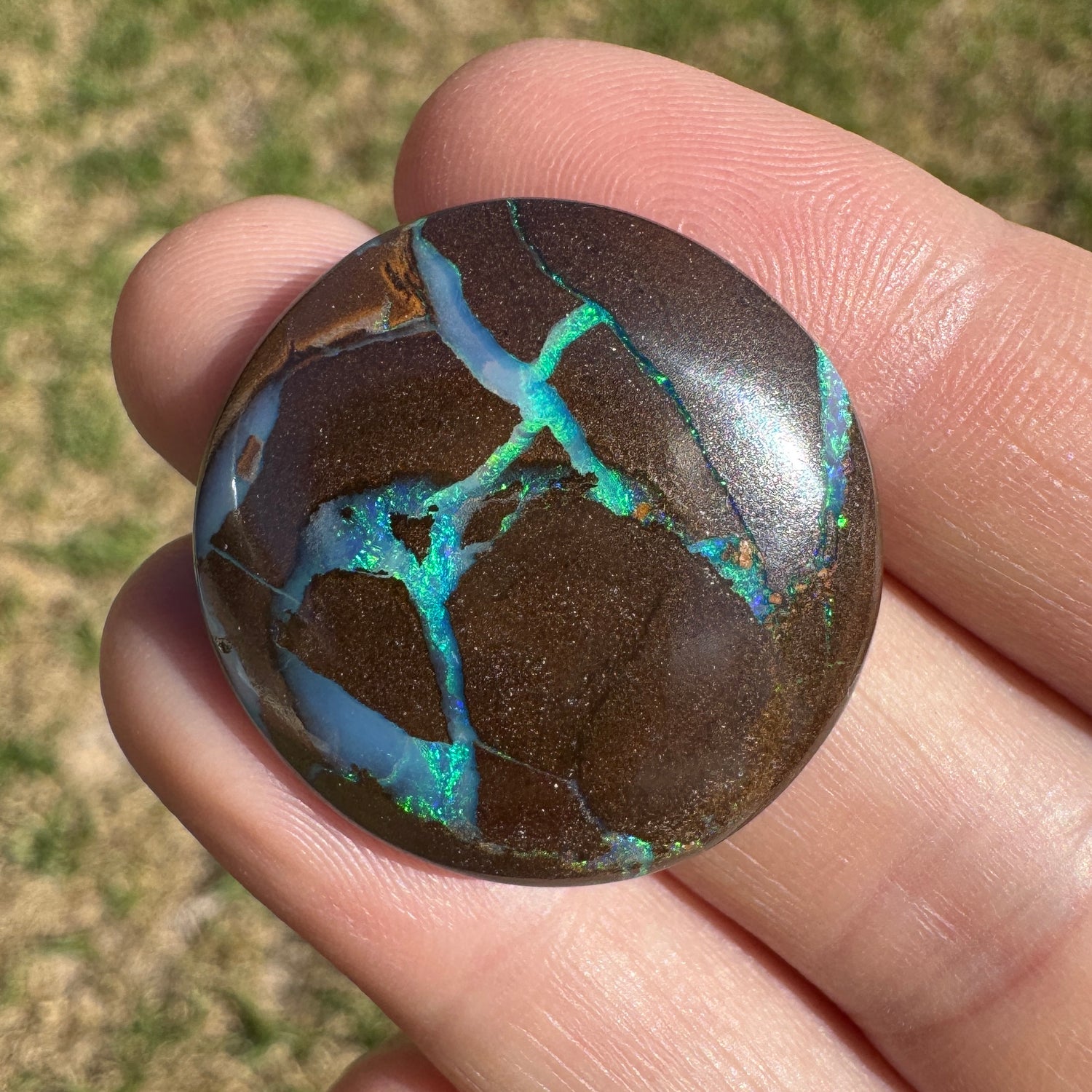 29.91 Ct large matrix boulder opal - Broken River Mining