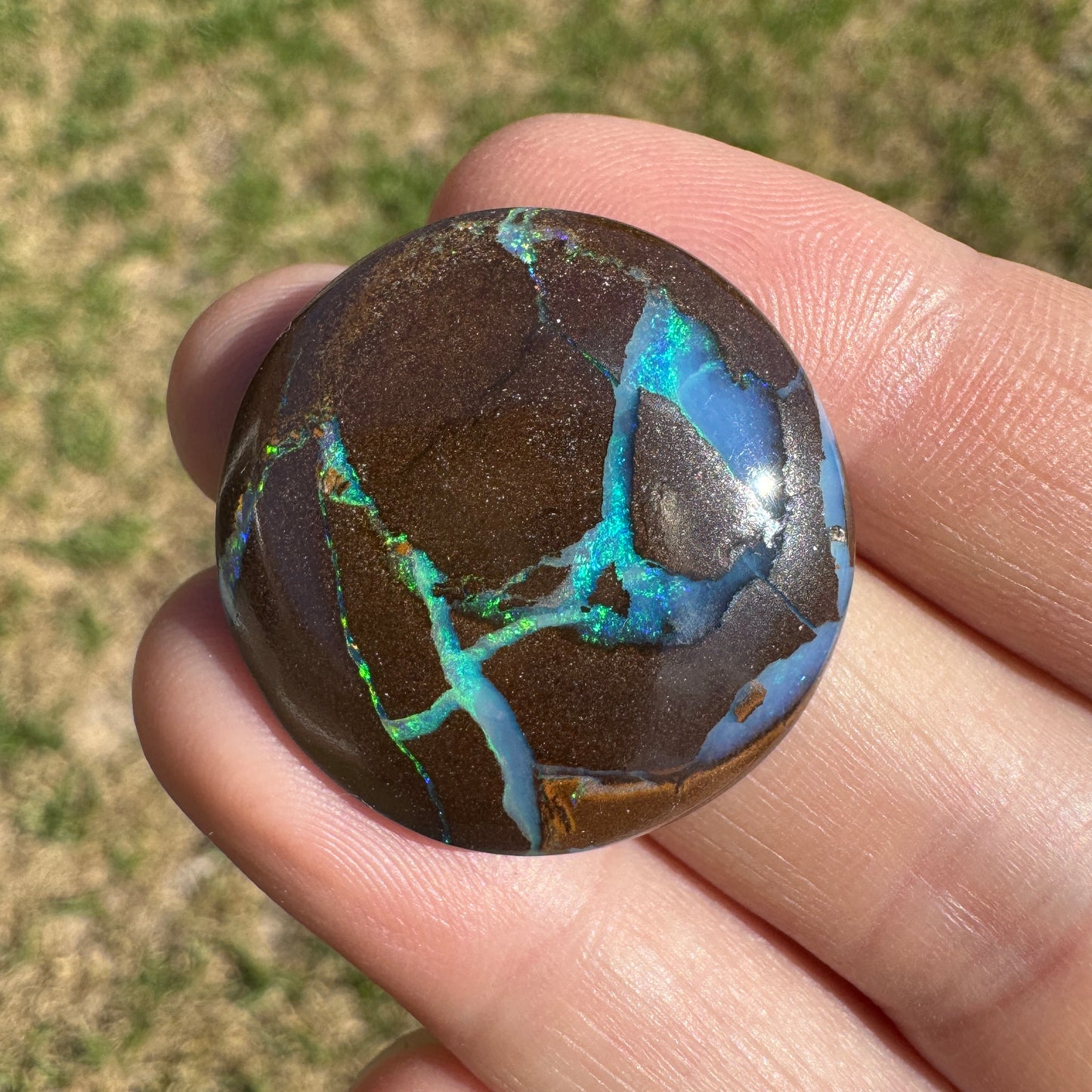 29.91 Ct large matrix boulder opal - Broken River Mining
