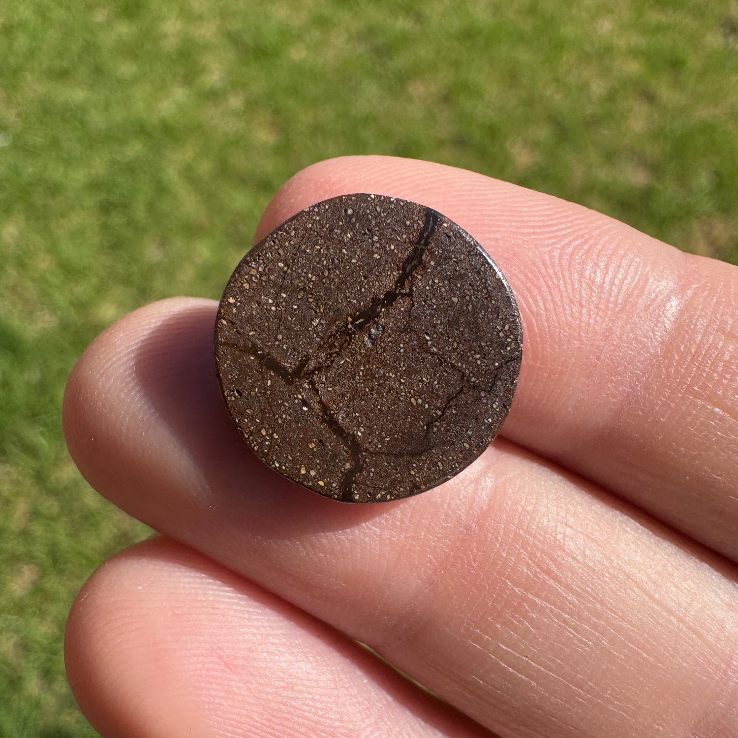 7.34 Ct green swirly boulder opal - Broken River Mining