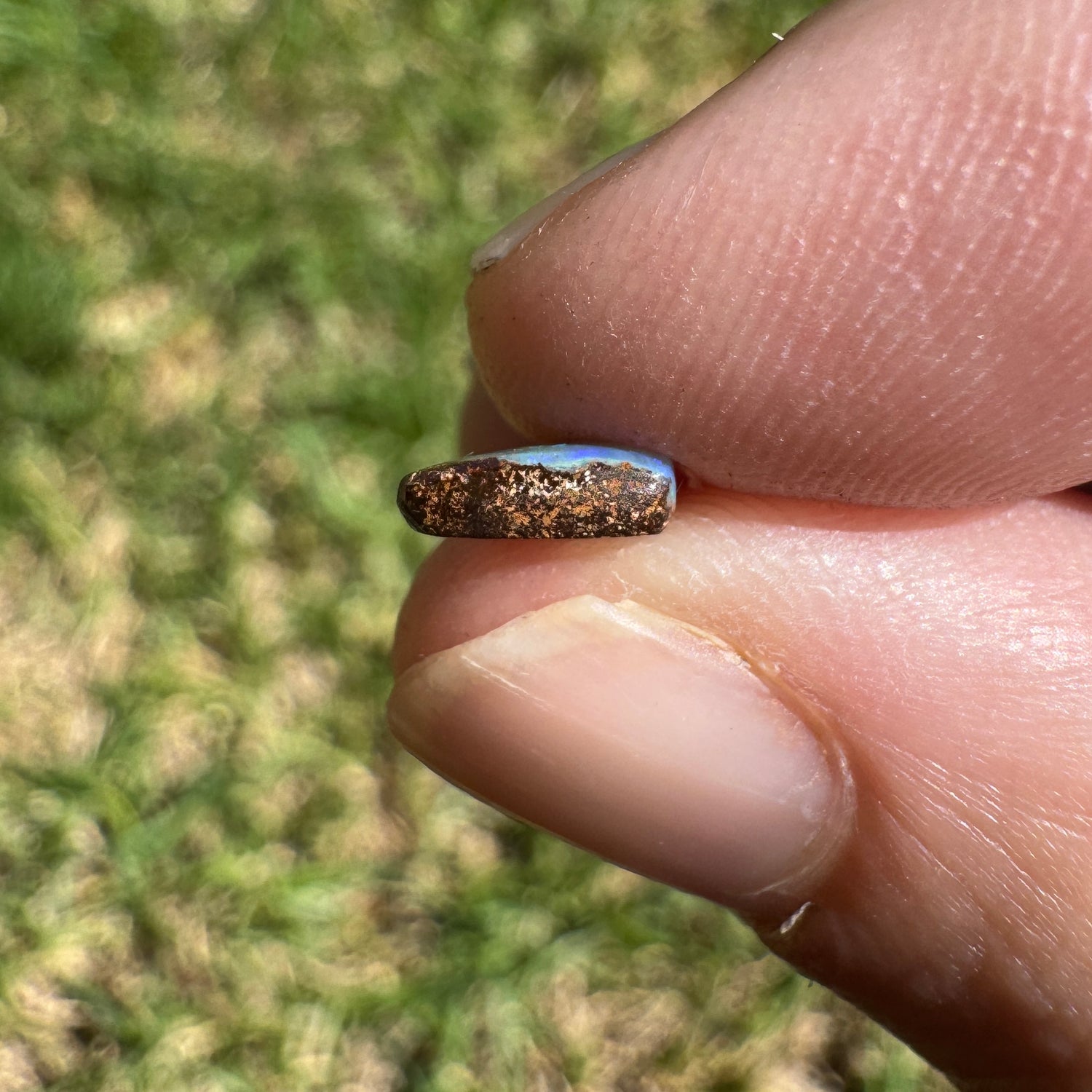 0.77 Ct extra small boulder opal - Broken River Mining