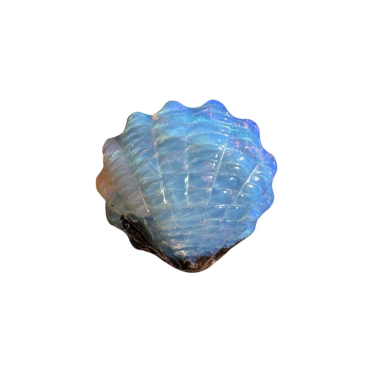 4.14 Ct small fan shell boulder opal carving