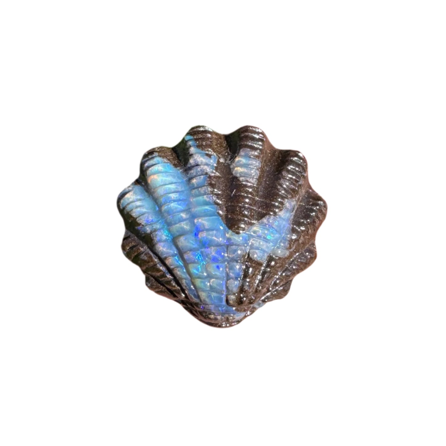 11.87 Ct fan shell boulder opal carving