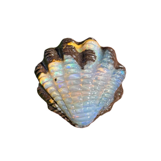 10.37 Ct fan shell boulder opal carving
