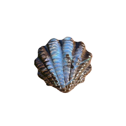 9.35 Ct fan shell boulder opal carving
