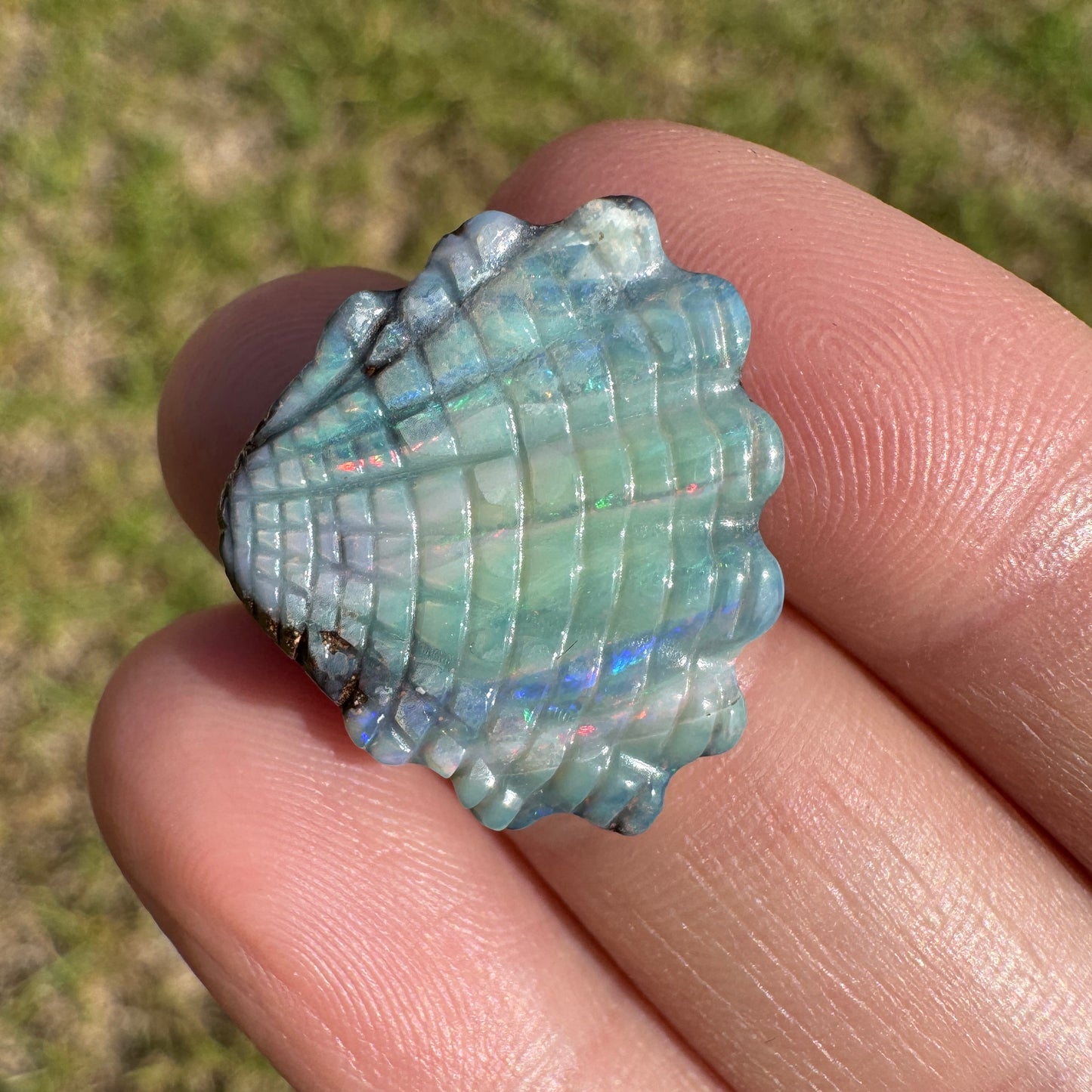 12.93 Ct shell boulder opal carving