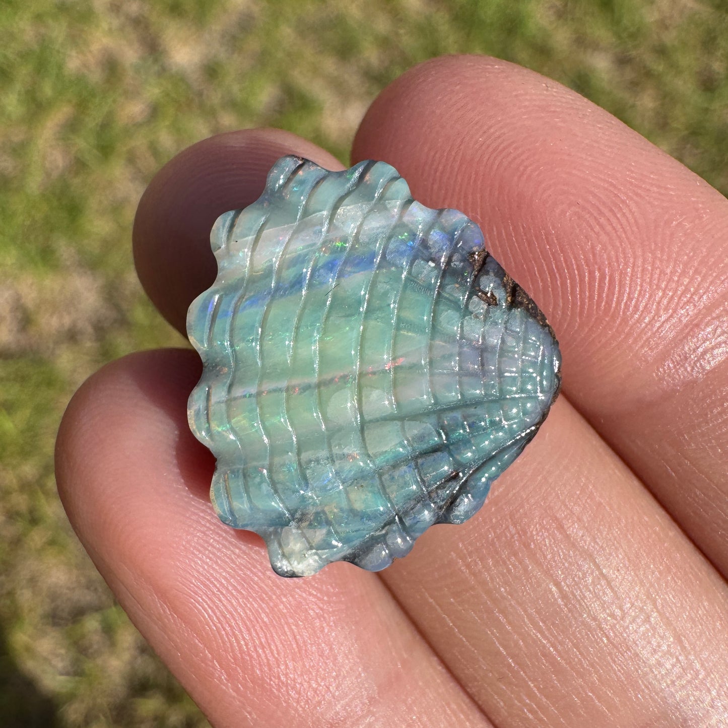12.93 Ct shell boulder opal carving