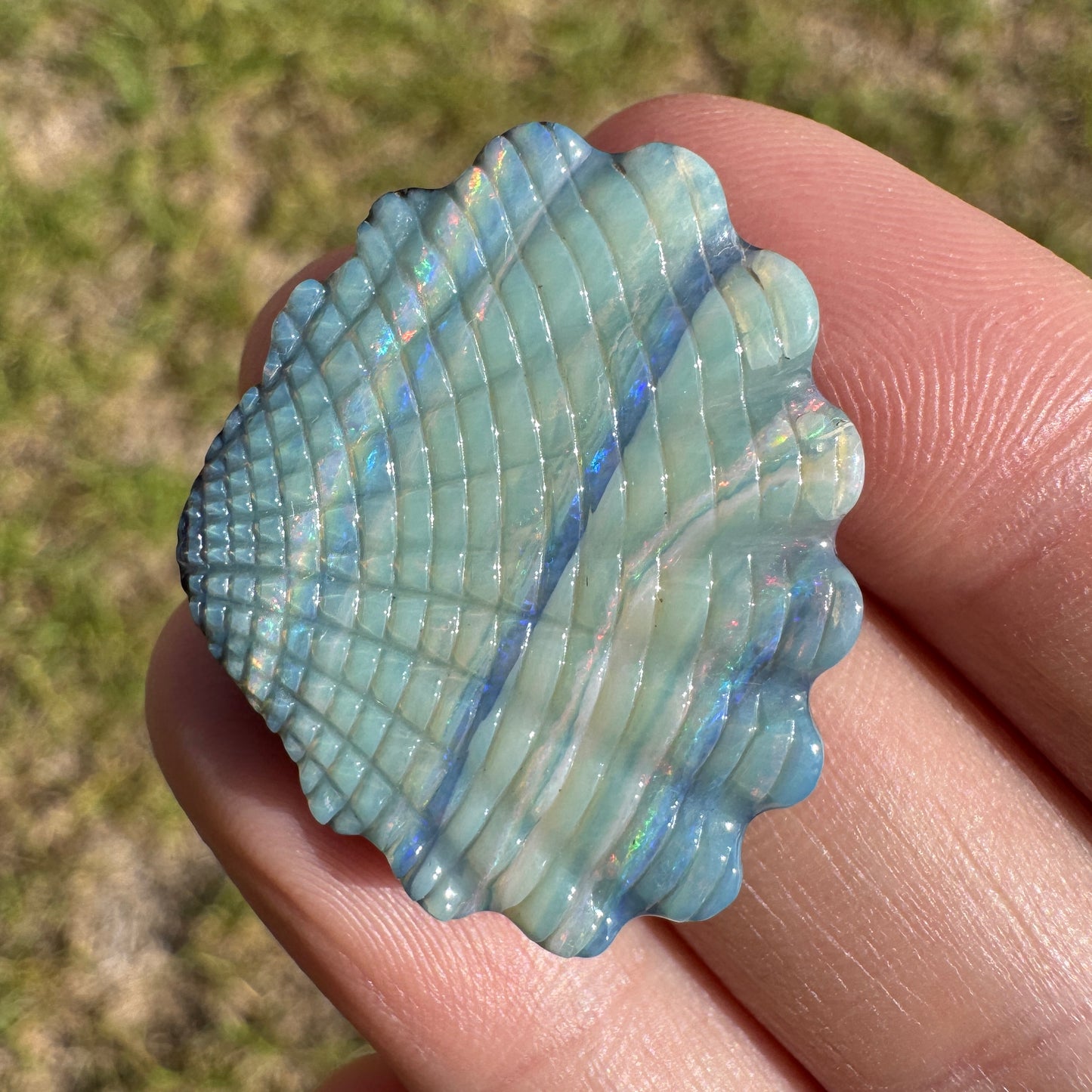 29.46 Ct large shell boulder opal carving