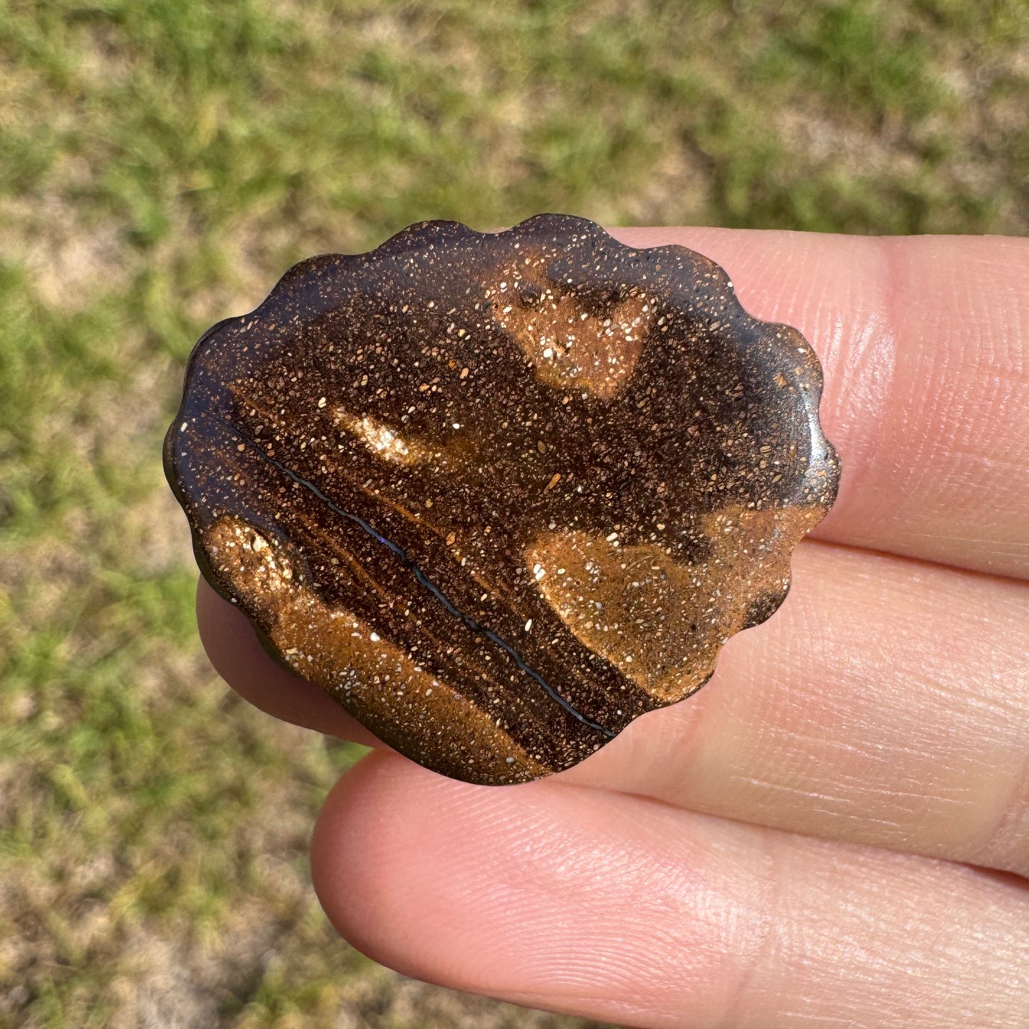 29.46 Ct large shell boulder opal carving