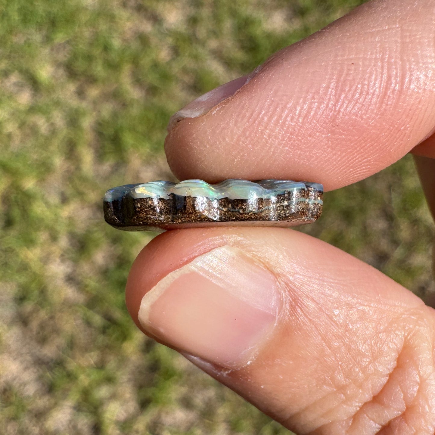 8.42 Ct shell boulder opal carving