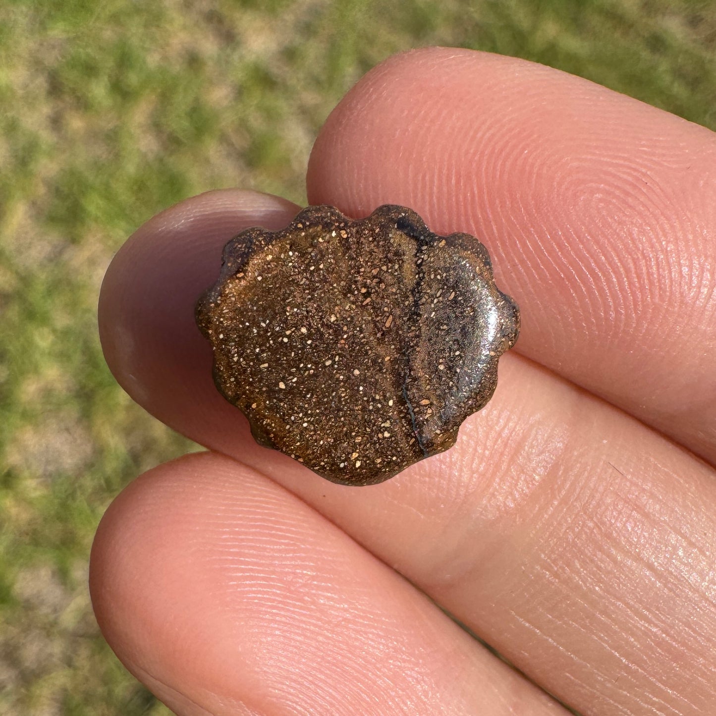 5.36 Ct shell boulder opal carving