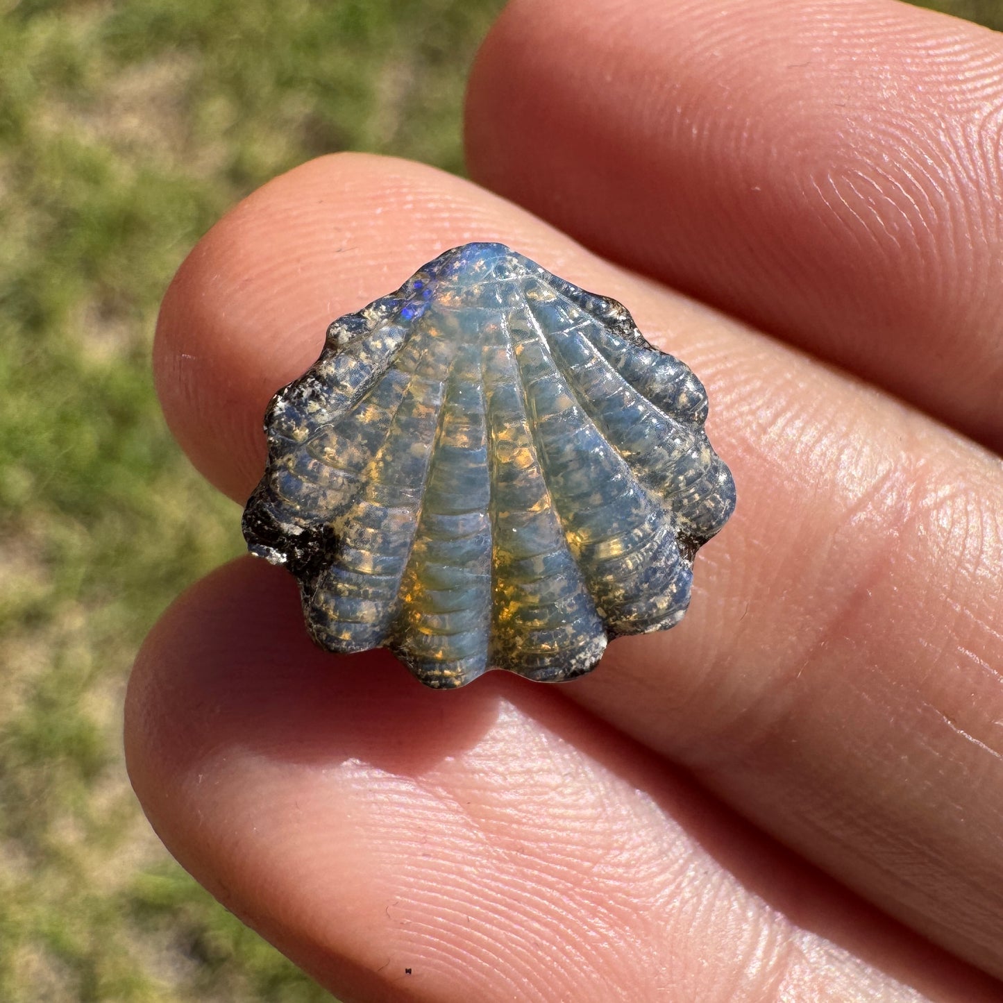 4.58 Ct shell boulder opal carving