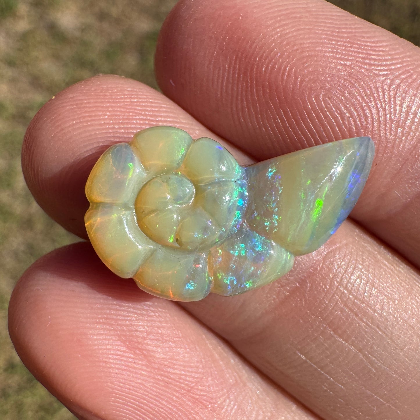 7.12 Ct shell boulder opal carving