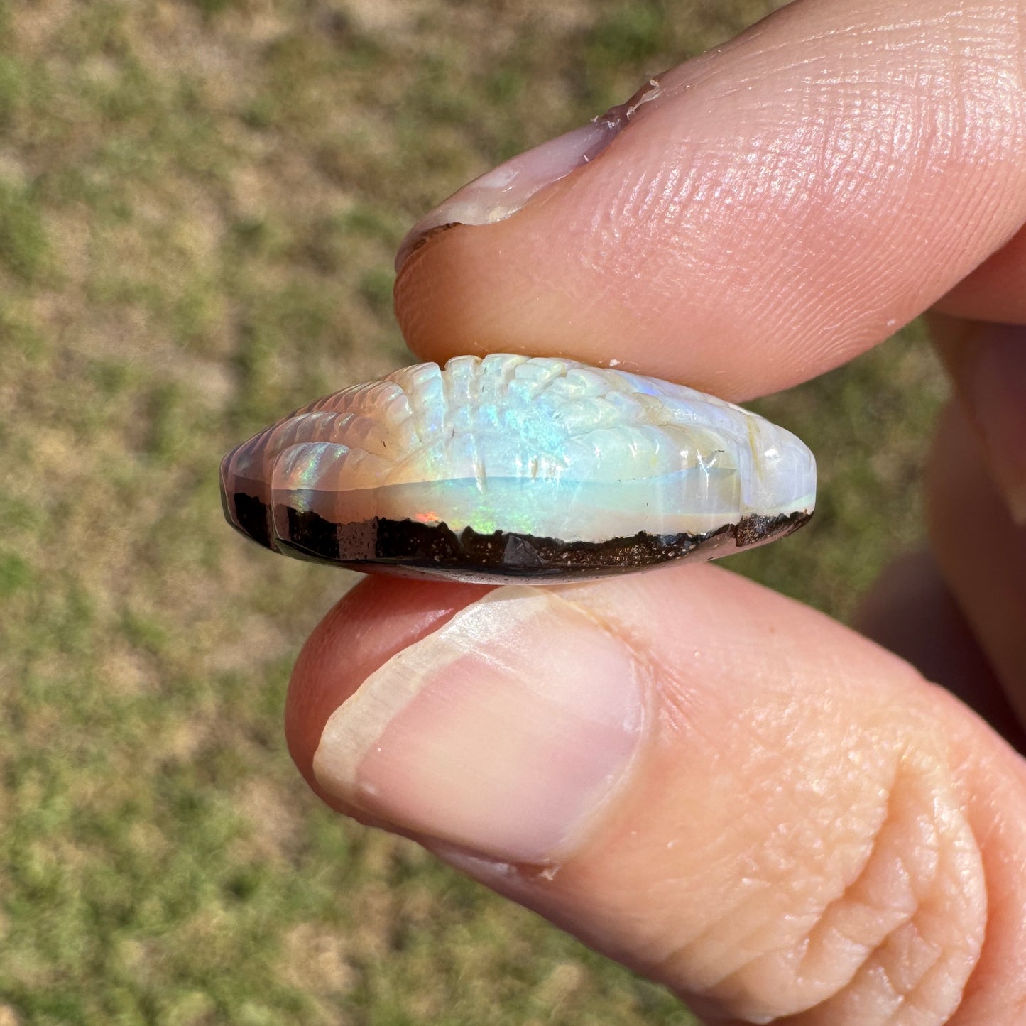 19.92 Ct shell boulder opal carving