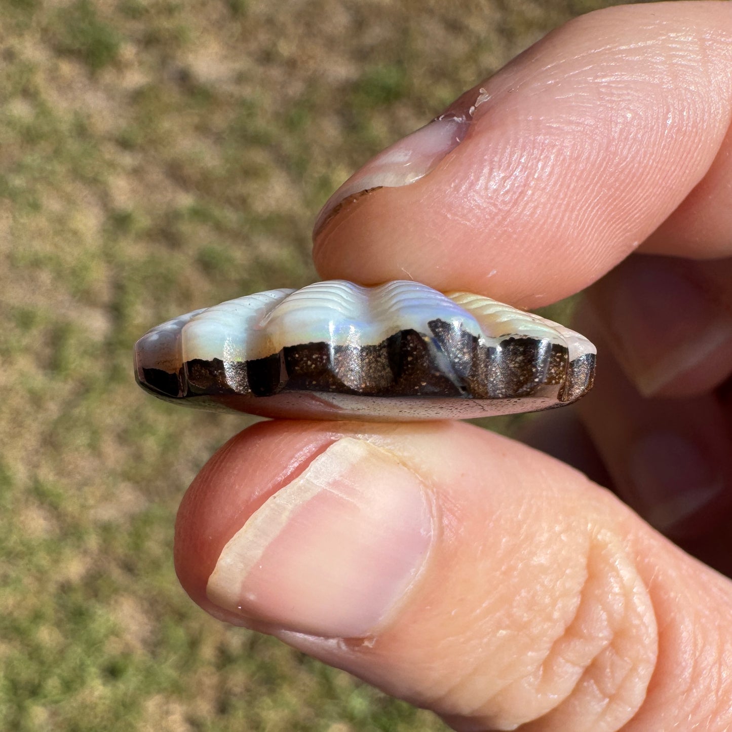 19.92 Ct shell boulder opal carving