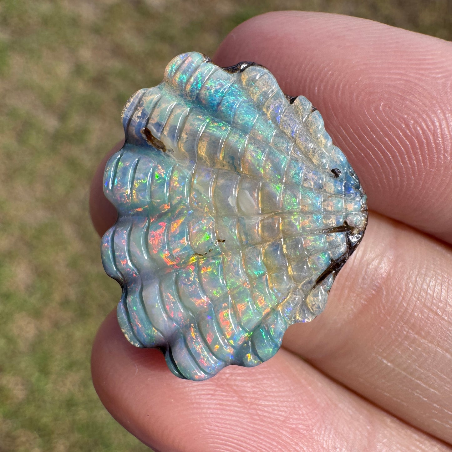 16.97 Ct shell boulder opal carving