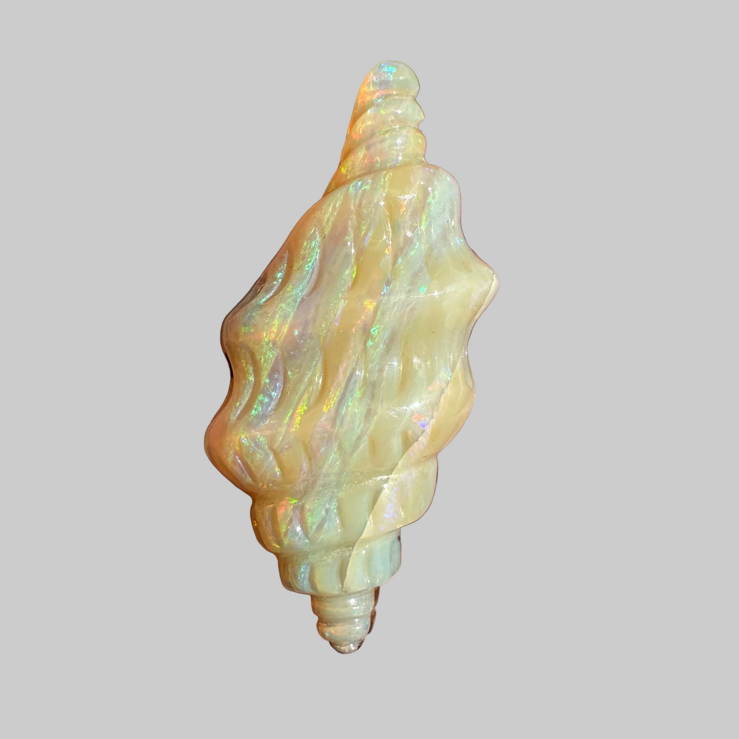 19.50 Ct shell boulder opal carving