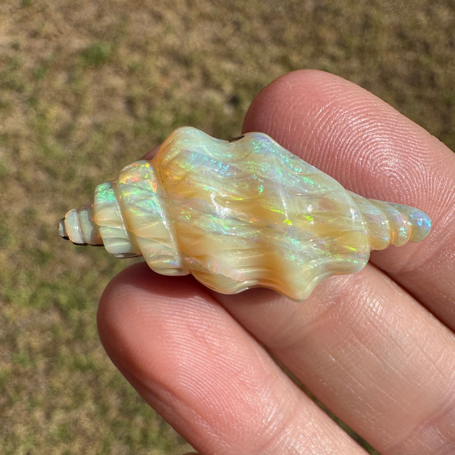 19.50 Ct shell boulder opal carving