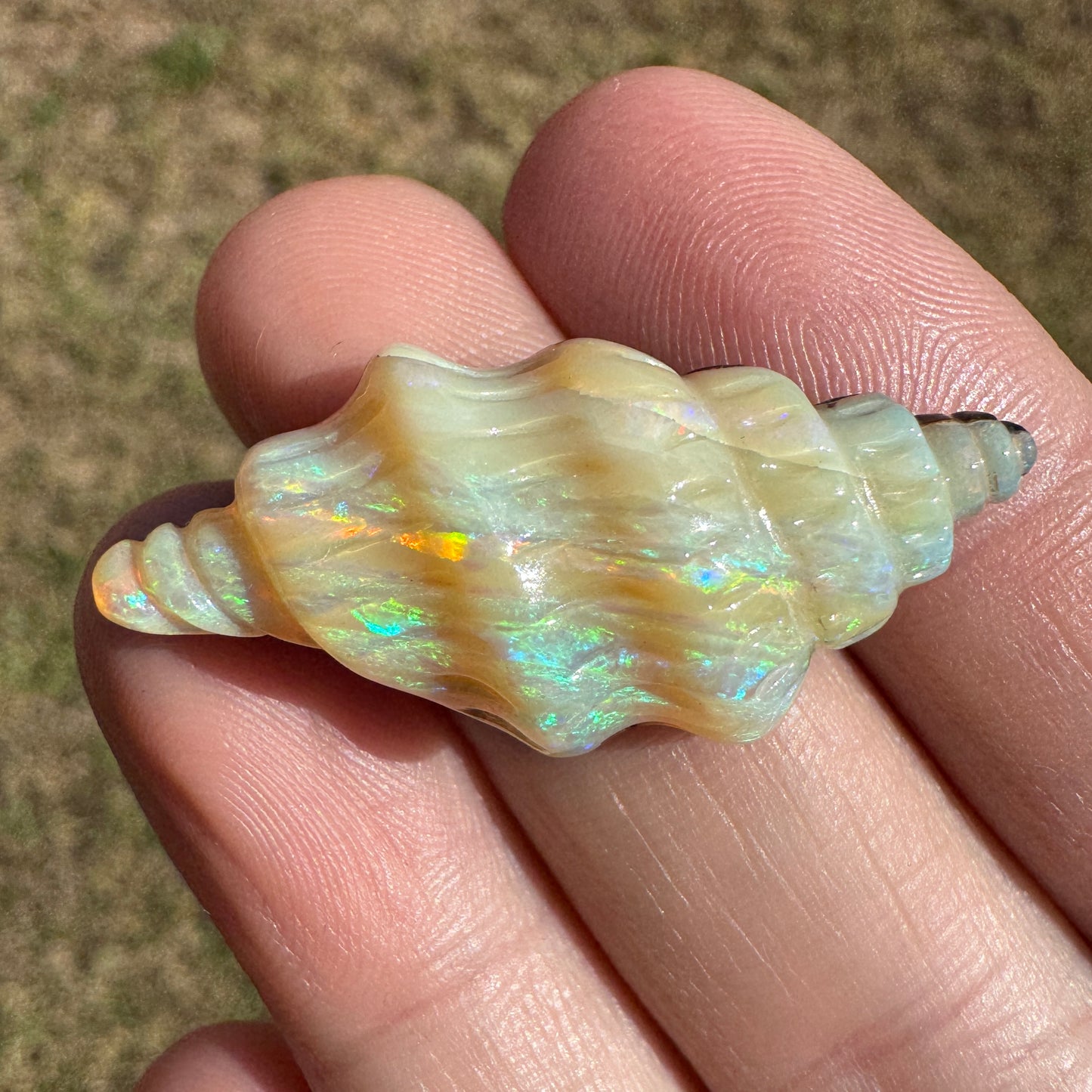 19.50 Ct shell boulder opal carving