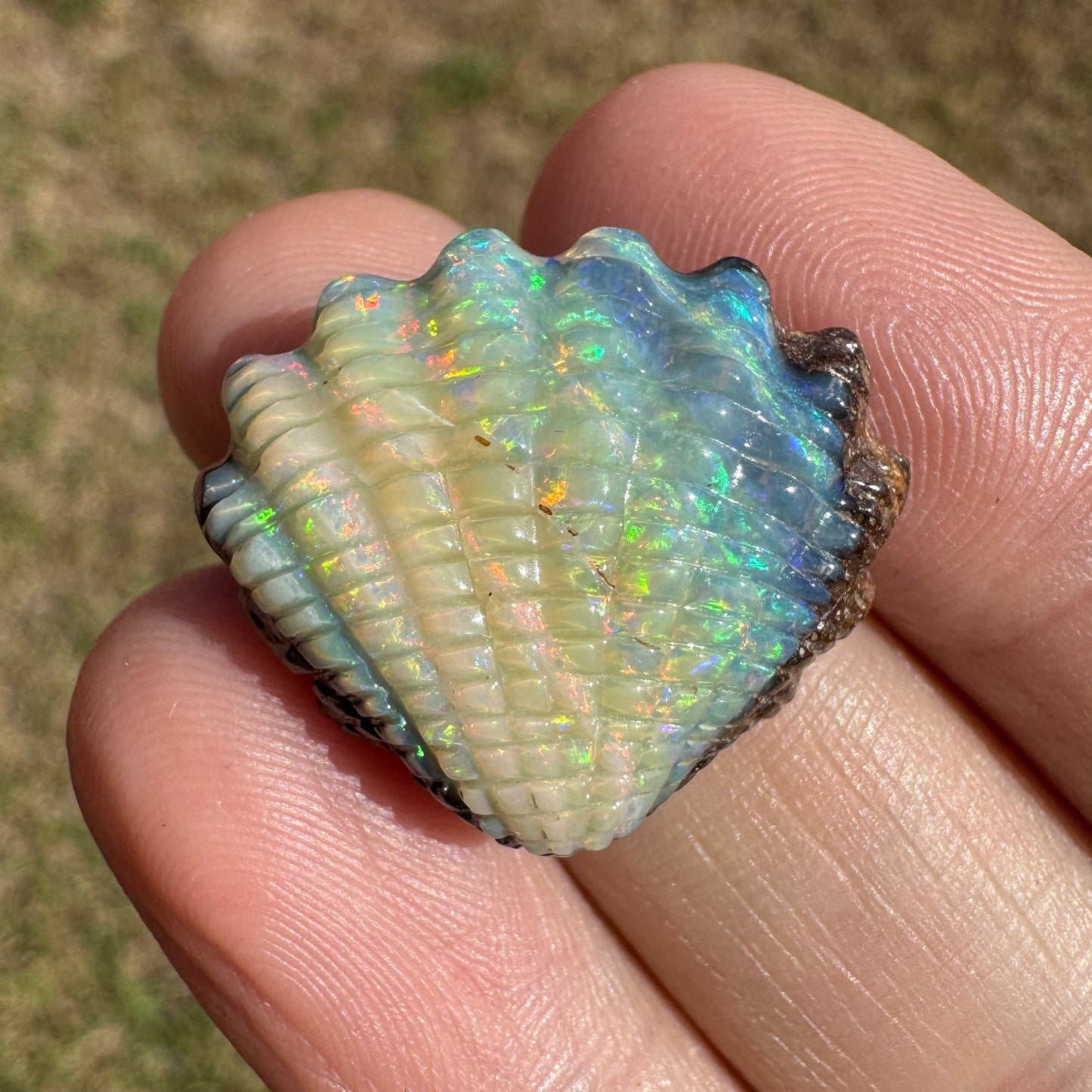 18.18 Ct shell boulder opal carving