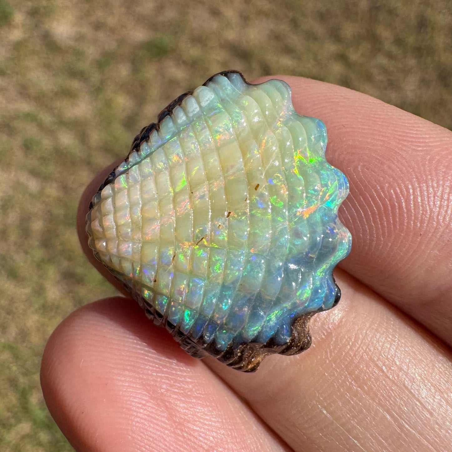 18.18 Ct shell boulder opal carving