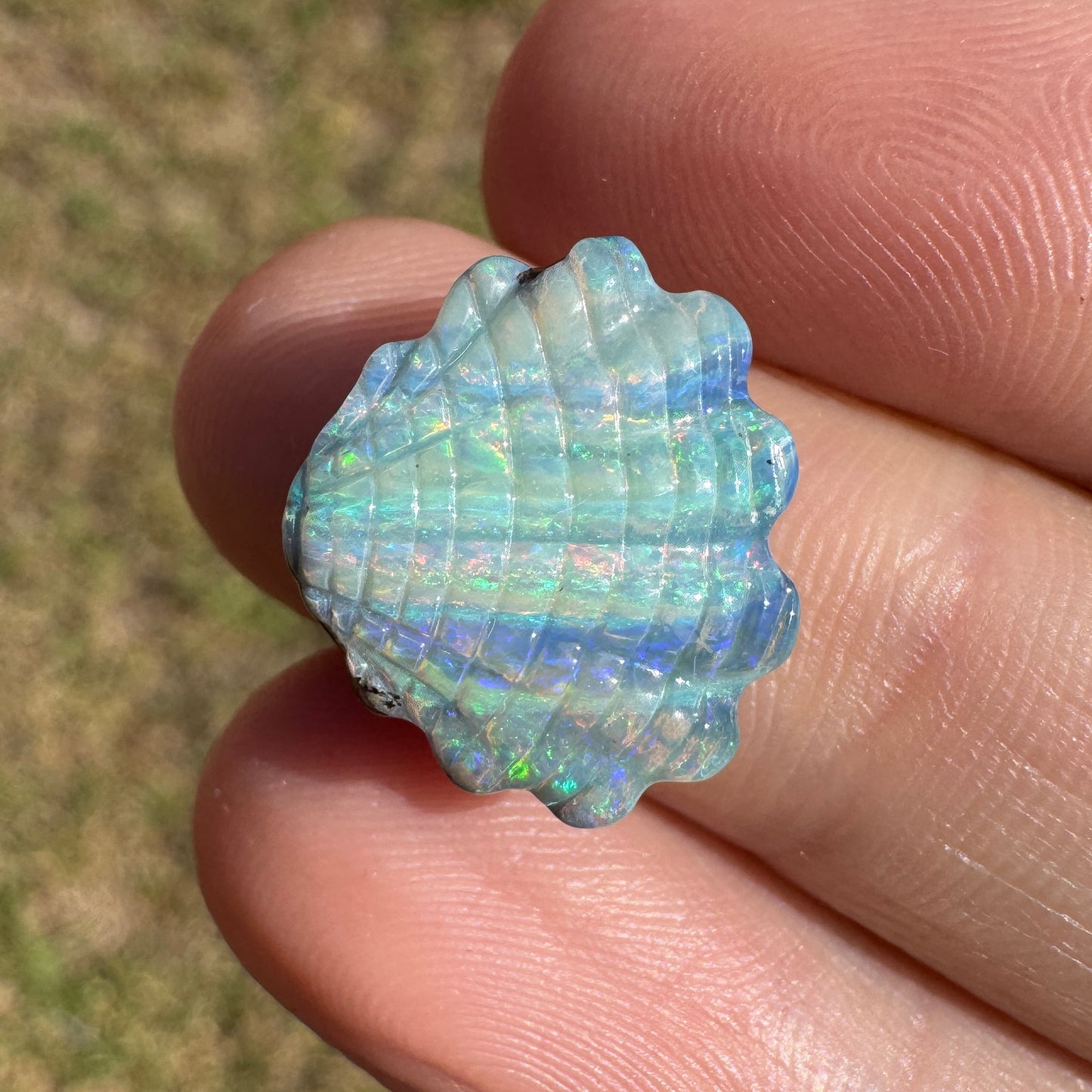 6.68 Ct rainbow striped shell boulder opal carving