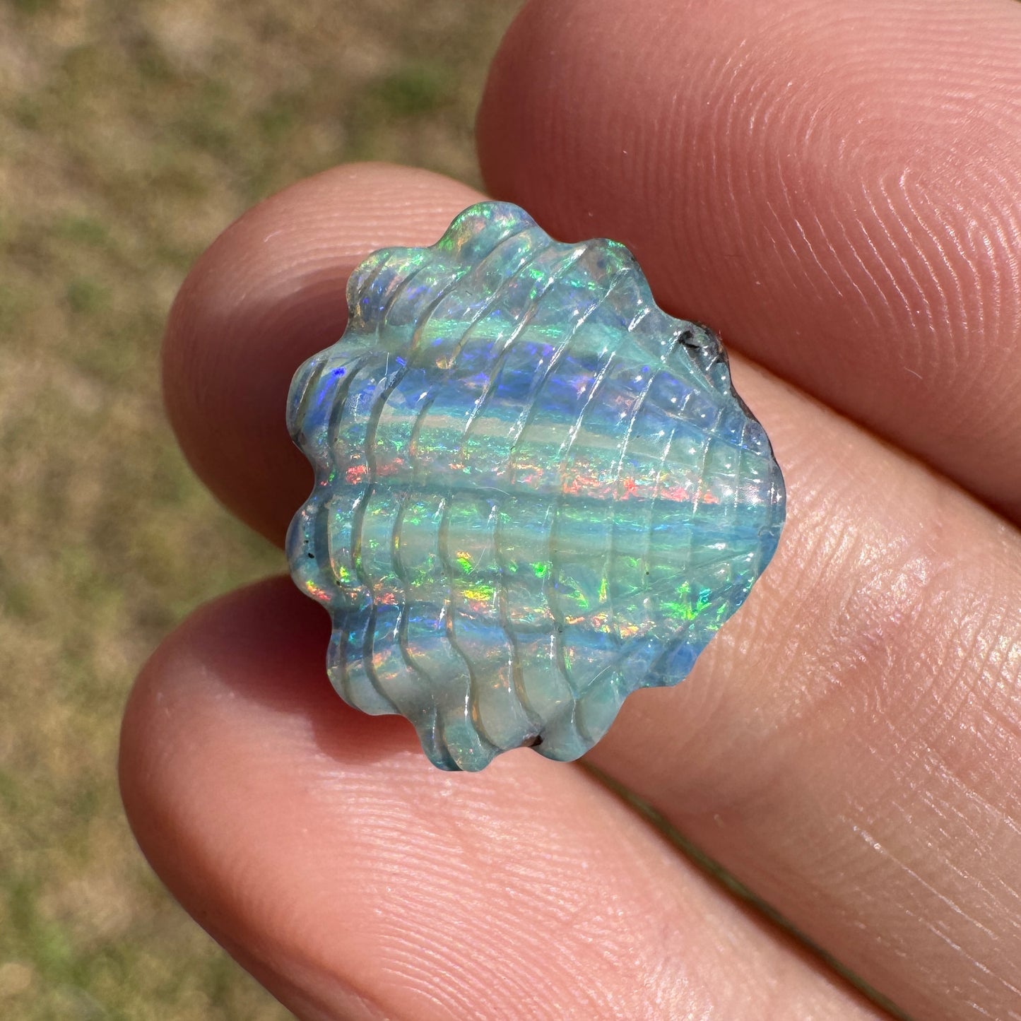 6.68 Ct rainbow striped shell boulder opal carving
