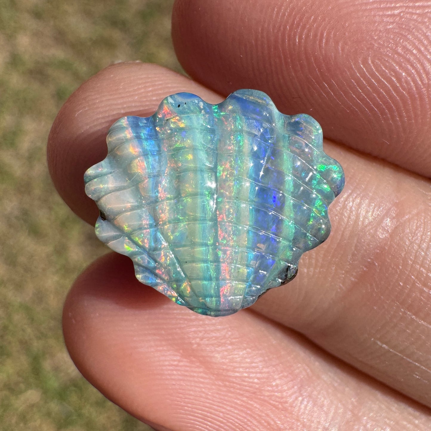 6.68 Ct rainbow striped shell boulder opal carving