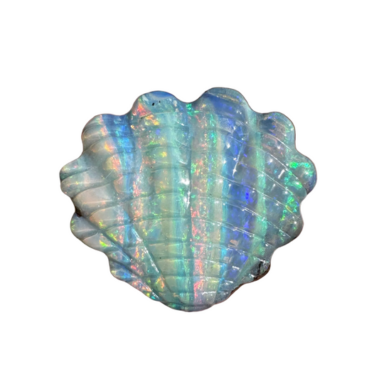 6.68 Ct rainbow striped shell boulder opal carving