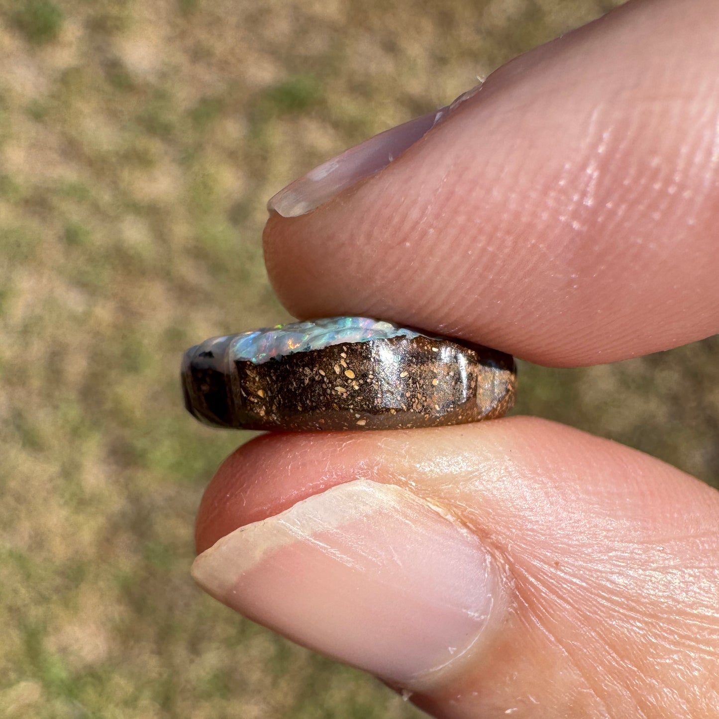 6.68 Ct rainbow striped shell boulder opal carving