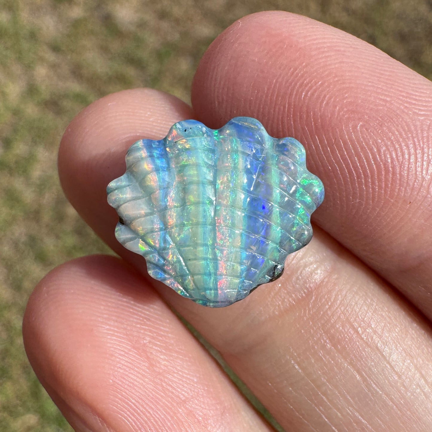 6.68 Ct rainbow striped shell boulder opal carving
