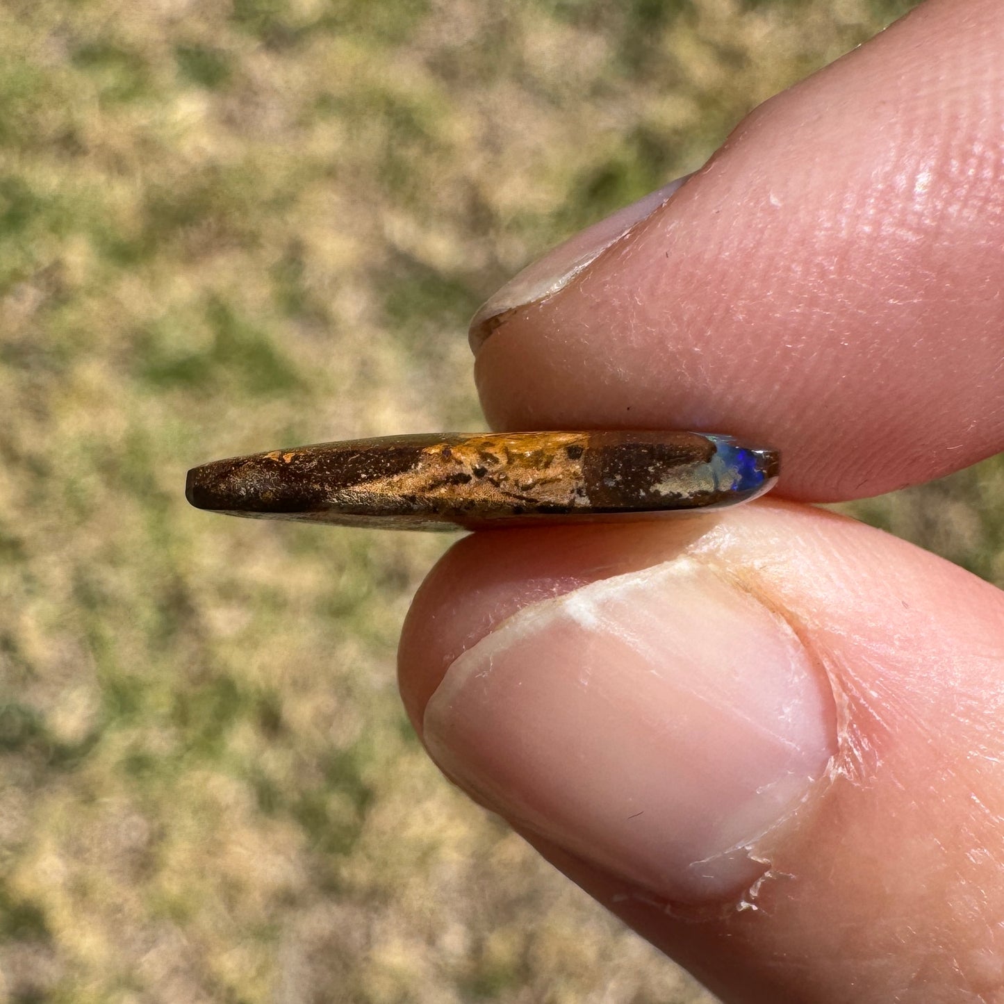 4.16 Ct small matrix boulder opal